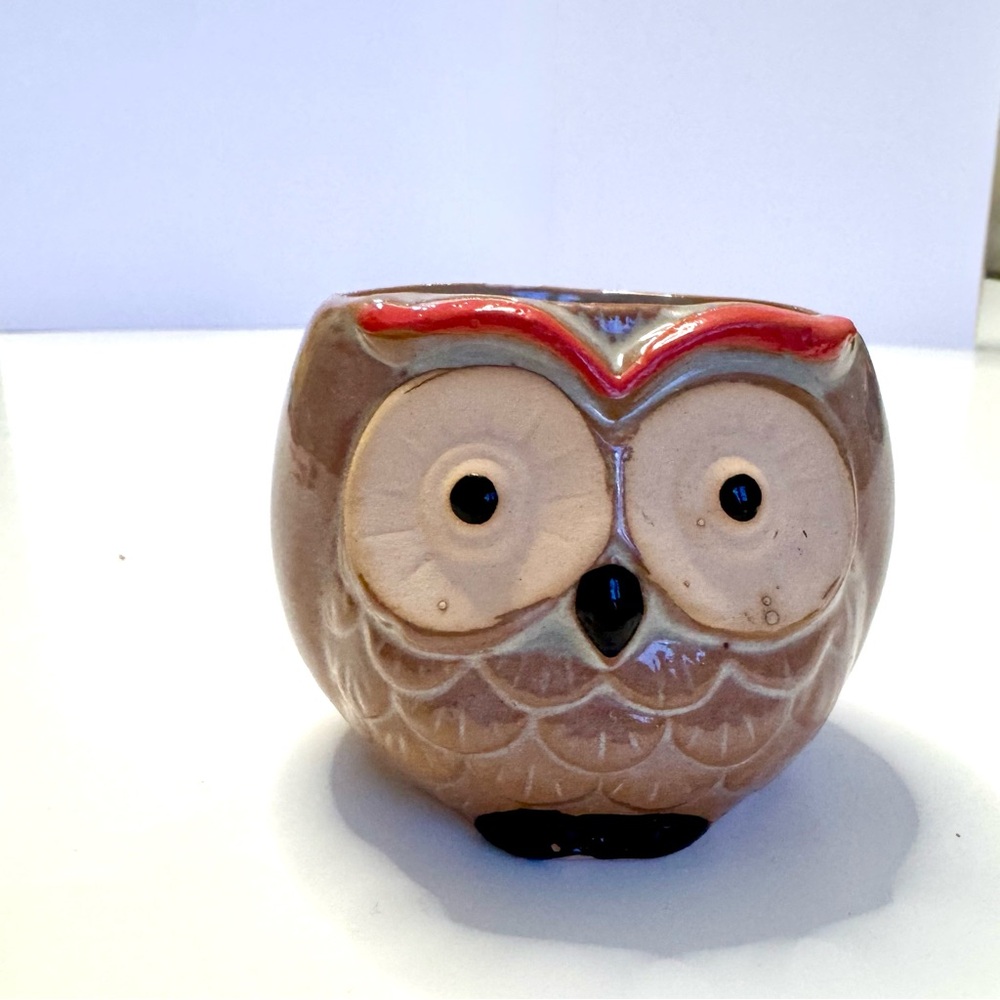 Charming Whimsical Owl Ceramic Planter - Brown with Black and Red Accents